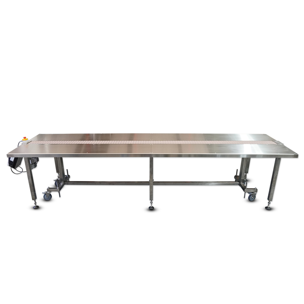 Conveyor Table