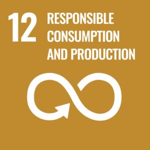 Graphic representing Goal 12: Responsible Consumption and Production, with icons and symbols related to sustainability.